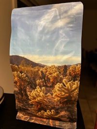 a bag with a picture of a desert on it